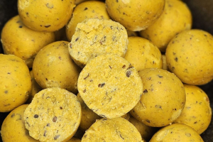Fermented Scopex
